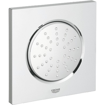 Душевая форсунка  GROHE  Rainshower F-Series  27251000